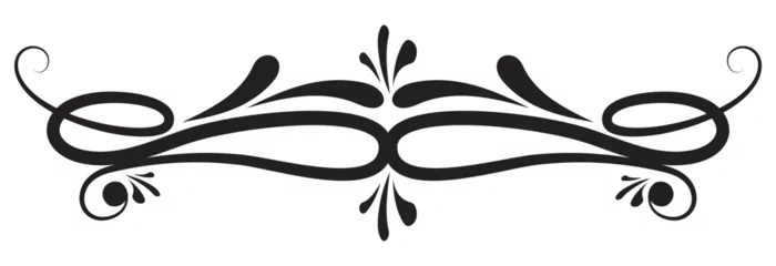 Fotobehang Abstract calligraphic ornate design element. Vintage ornamental pattern. Luxury, elegant flourish line art design. PNG with white background. © Kakal CF ID 4016033
