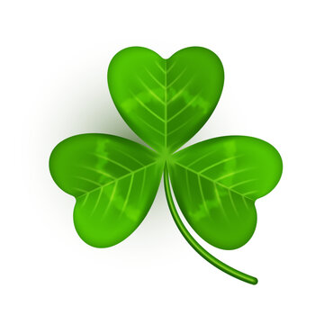 Realistic shamrock icon. Clover three leaves logo. Green floral sticker