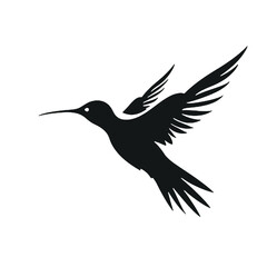hummingbird illustration