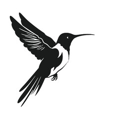 hummingbird illustration