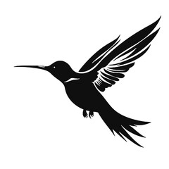 Obraz premium hummingbird Silhouette 