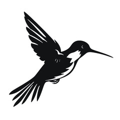 hummingbird Silhouette 
