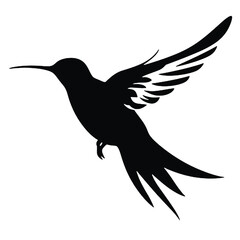 hummingbird Silhouette 