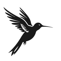 Obraz premium hummingbird Silhouette 