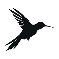 hummingbird Silhouette 