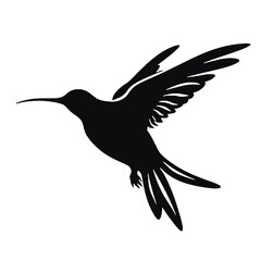 hummingbird Silhouette 