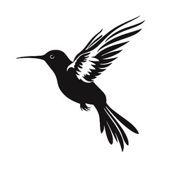 hummingbird Silhouette 