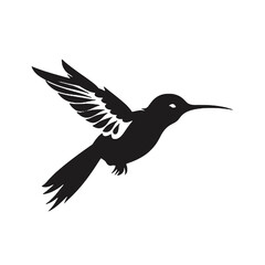 Obraz premium hummingbird Silhouette 