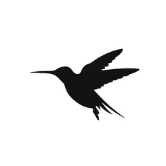 hummingbird Silhouette  © vectorcyan