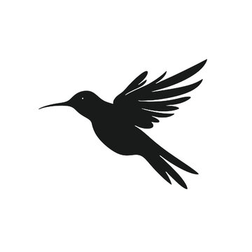 recommend clip art: hummingbird Silhouette 