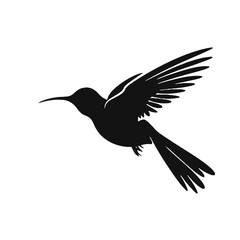 hummingbird Silhouette 
