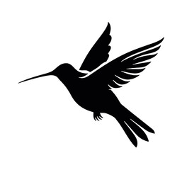 hummingbird Silhouette 