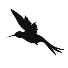 hummingbird Silhouette 