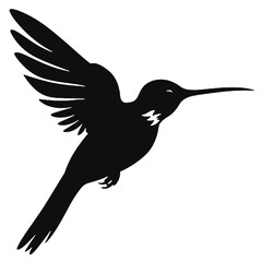 hummingbird Silhouette 