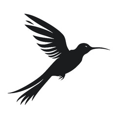 hummingbird Silhouette 
