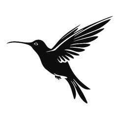 hummingbird Silhouette 