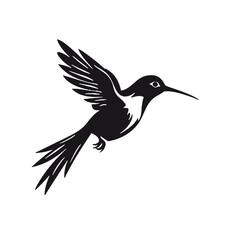 hummingbird Silhouette 