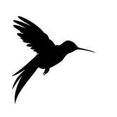 hummingbird Silhouette 