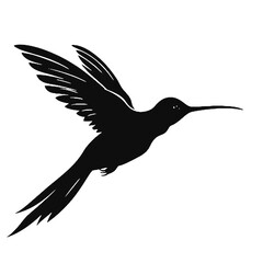 hummingbird Silhouette 