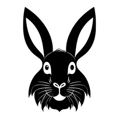 rabbit illustration