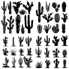 set of Cactus silhouettes - obrazy, fototapety, plakaty