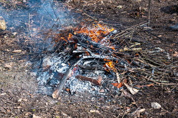 Fire outdoors with branches from garden clearing