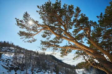 Fototapety na wymiar - Fototapeta24.pl