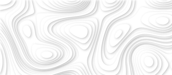 Abstract modern 3d Paper cut white background .white waves background ,paper art style, flyers posters prints .geometric background overlap layer.	