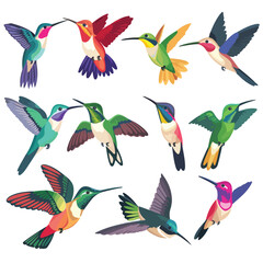 Hummingbirds vector illustration cartoon vector 