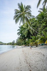Kobieta na huśtawce na rajskiej plaże z palmami