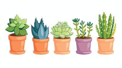 Succulents in Pots flat vector isolated on white background