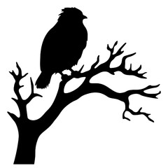 Owl silhouette, Owl mascot logo, Owl Black and White Animal Symbol Design, Bird icon.