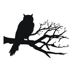 owl sitting on top of a tree branch Silhouette 