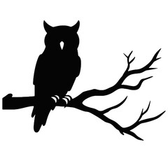 owl sitting on top of a tree branch Silhouette 