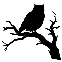 owl sitting on top of a tree branch Silhouette 