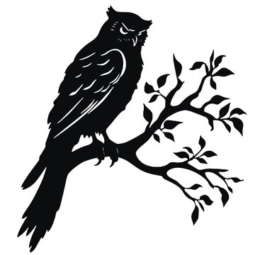 owl sitting on top of a tree branch Silhouette 