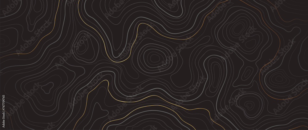 Wall mural luxury gold abstract line art background vector. mountain topographic terrain map background with go
