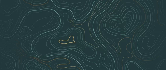 Gardinen Luxury gold abstract line art background vector. Mountain topographic terrain map background with gold lines texture. Design illustration for wall art, fabric, packaging, web, banner, app, wallpaper. © TWINS DESIGN STUDIO
