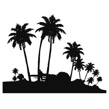 palm beach landscape