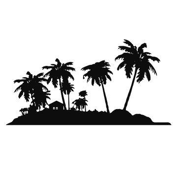 palm beach landscape
