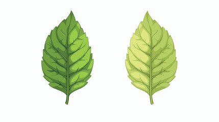 Vector of Leaf Icon. Ecology Symbol. 