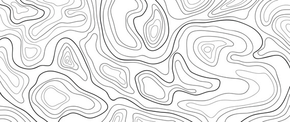 Topographic map pattern background vector. Abstract mountain terrain map background with abstract shape line texture. Design illustration for wall art, fabric, packaging, web, banner, wallpaper. - obrazy, fototapety, plakaty