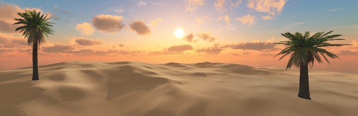 panorama of sand desert with two palm trees at sunset, 3D rendering - 767705353