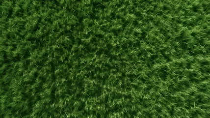 Foto op Canvas Bird's eye view photo of a lawn © senadesign