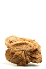 close up of sand rose