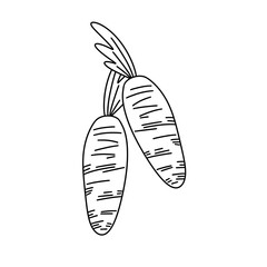 Two carrots are shown in a white background. The carrots are positioned in such a way that they appear to be leaning on each other