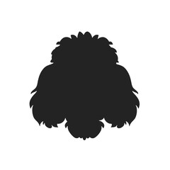  poodle dog