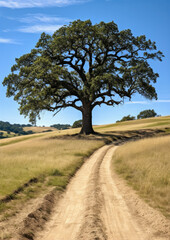 Single tree with nature and blue sky background