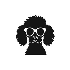 cool poodle dog wearing sunglasses