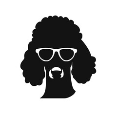 cool poodle dog wearing sunglasses